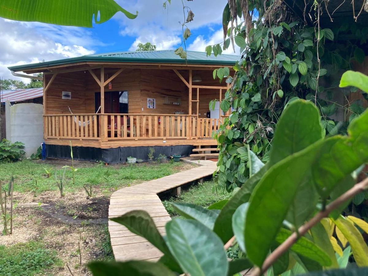 Bungalows Baobab San Isidro De El General Dış mekan fotoğraf
